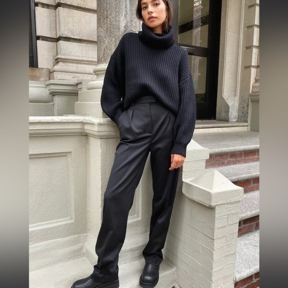 Aritzia Babaton Swift Wool Pants Size 6 Tall